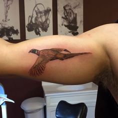 a man with a tattoo on his arm that has a bird on it and is sitting in a chair