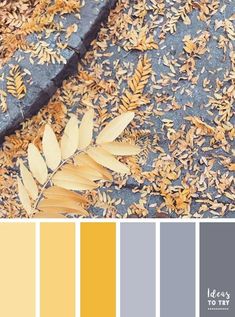 the color scheme is yellow and gray, with leaves on the ground next to it