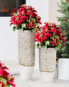 two white vases with red poinsettias in front of a christmas tree