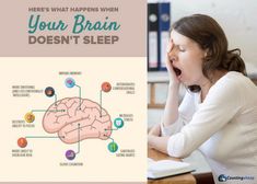 Why Sleep Deprivation Is Bad » Counting Sheep Research Leptin And Ghrelin, 7 Hours Of Sleep, Counting Sheep, Endocrine System, Central Nervous System, Natural Sleep