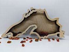 a piece of wood with nuts scattered around it