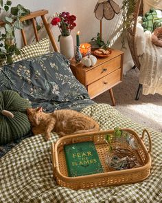 an orange cat laying on top of a bed next to a basket filled with food