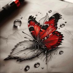 Red Butterfly Tattoo Flash Set Black And Gray Flag Tattoo, Half Butterfly Half Angel Wing Tattoo, Black And Red Sleeve Tattoo, Butterfly Back Tattoos, Butterfly Tattoo For Men, Black And Red Tattoo Design, Best Cover Up Tattoos For Women, Female Face Tattoo Design, Red Butterfly Tattoo