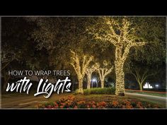 the words how to wrap trees with lights in front of an image of flowers and trees