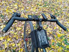 the handlebars and front brake of a bicycle are visible in this image, with autumn leaves covering the ground