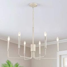 a white chandelier hanging from the ceiling in a room with a potted plant