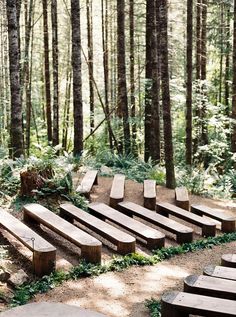 several wooden benches in the middle of a forest