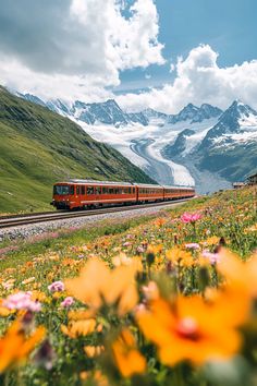 a red train traveling through a lush green hillside covered in flowers and snow capped mountains