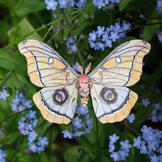 a butterfly sitting on top of blue flowers