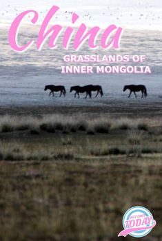 three horses walking across a field next to the ocean with text that reads chira grasslands of inner mongolia