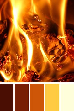 a fire with orange and yellow flames in the center, surrounded by other color swatches