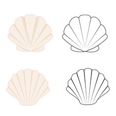 three seashells on a white background, illustration, drawing, sea png and psd