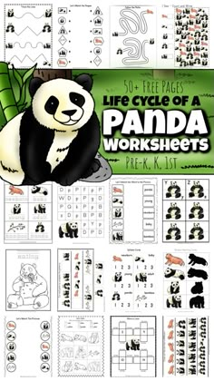 Panda Bear Panda Bear What Do You See, Free Panda Printables, Panda Preschool Activities, Panda Activities Preschool, Panda Bear Activities