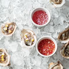 oysters on ice with red sauce and corn in the middle, ready to be eaten