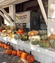 pumpkins and gourds are on display in front of a store