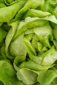 green lettuce is piled high in the air