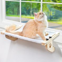 an orange cat sitting on top of a wooden shelf next to a window sill