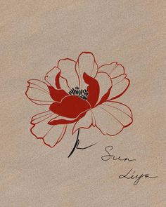 a drawing of a flower with the words sun lily on it