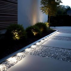 an outdoor area with some lights on the ground and trees in the backround