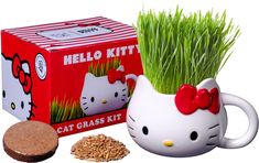 a hello kitty cat grass kit is in a coffee mug and next to it's contents