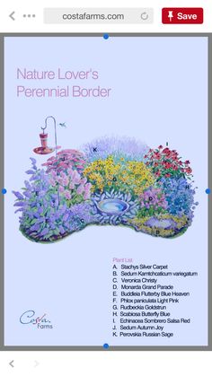 the cover of nature lover's perennial border