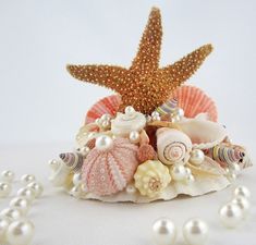 there is a starfish on top of some shells