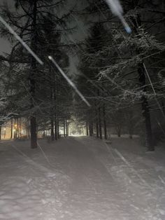 a snowboarder is going down a hill in the woods at night with lights on