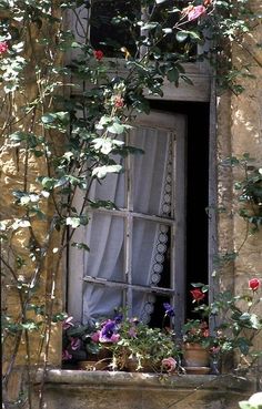 an open window with flowers growing out of it