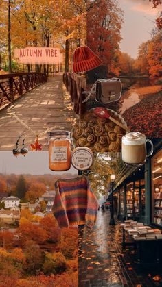 the collage shows autumn and fall scenes