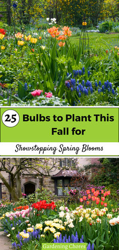 a garden with lots of flowers in it and the words 25 bulbs to plant this fall for