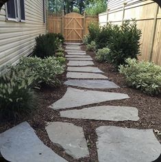 Stone Walkway Side Of House, Shady Walkway Landscaping, Stone Path Landscaping, Narrow Garden Ideas Side Yards Pathways, Wide Side Yard Ideas, Flagstone Side Yard, Path To Backyard Gate, Flat Stone Walkway Pathways, Landscape Pavers Ideas Walkways