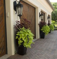 three large planters are on the side of a building with two lights above them