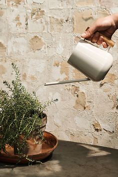 Compact and durable, this powered coated watering can is a stylish addition to your gardening routine | Beech Wood Handle Watering Can in White at Terrain Watering Pot, Lawn Care Tips, Lush Lawn, Watering & Irrigation, Soil Health, Green Lawn, Easter Shopping, Under The Stars, Watering Can