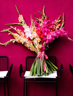 pink and red flowers sitting on chairs against a bright pink wall in front of two black chairs