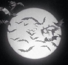 bats flying in the night sky over a full moon with white light and black background