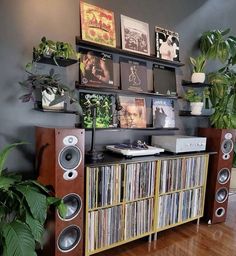 an entertainment center with various records and plants