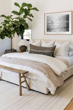 a bedroom with a bed, plant and pictures on the wall