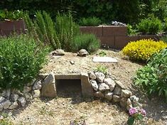 an outdoor area with rocks and plants in it