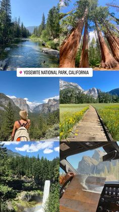 the collage shows different views of mountains and trees