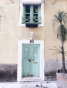 a blue door and window on the side of a building with two potted plants next to it