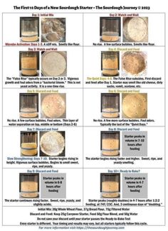 the first five days of new england's sourdough journey, 2012 - 2013