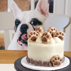 Dog cake, dog cake kit , best doggy cake Dog Birthday Cake Design Ideas, Pet Cakes For Dogs, Dog Cake Design Ideas, Dog Birthday Cake Easy, Dog Cake Design, Doggy Cake, Dog Friendly Cake, Dog Cake Recipes, Baking Kits