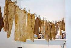 dried meat hanging from clothes line in kitchen