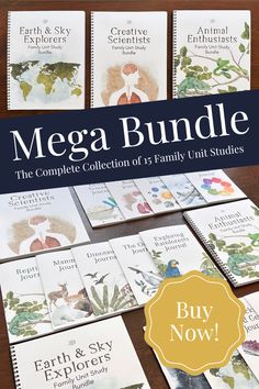 the mega bundle includes books and dvds for children to use on their own homeschool