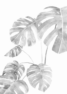 a black and white drawing of some leaves