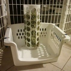 a white basket filled with plants sitting on top of a floor next to a cage