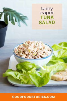 tuna salad in a bowl with lettuce leaves on the side and a potted plant next to it