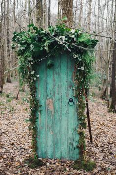 an old green door with ivy growing on it in the middle of leaves and trees