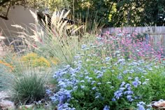 a garden filled with lots of purple and blue flowers