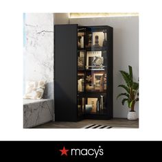 a tall black cabinet with glass doors in a living room next to a potted plant